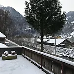 Historic Steinbock Otel 2*