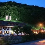 Otel Historic Steinbock 2*