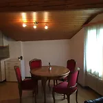Hotel Historic Steinbock Wilderswil
