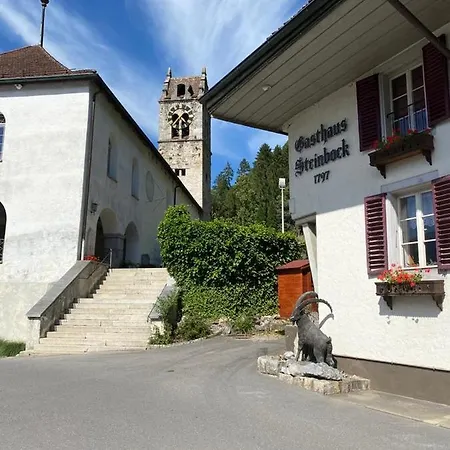 Hotel Historic Steinbock