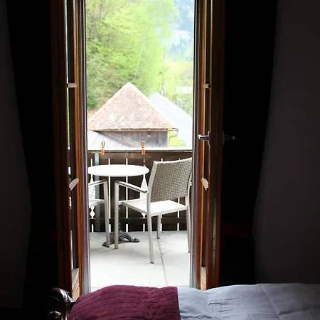 Hotel Historic Steinbock 2*