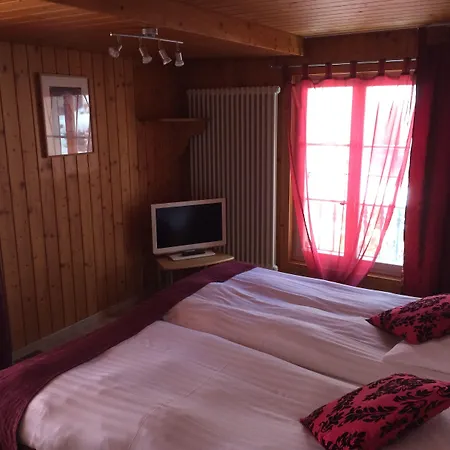 Hotel Historic Steinbock Wilderswil