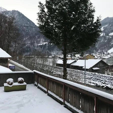 Historic Steinbock Hotel 2*