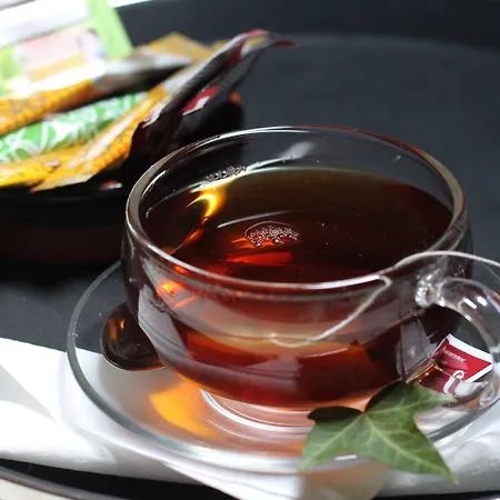 Historic Steinbock 2*