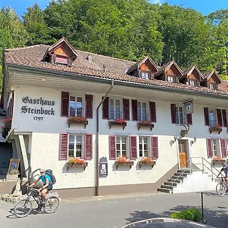 Historic Steinbock Otel