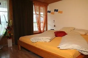 Historic Steinbock 2* Wilderswil