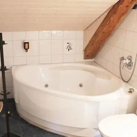 Hotel Historic Steinbock Wilderswil