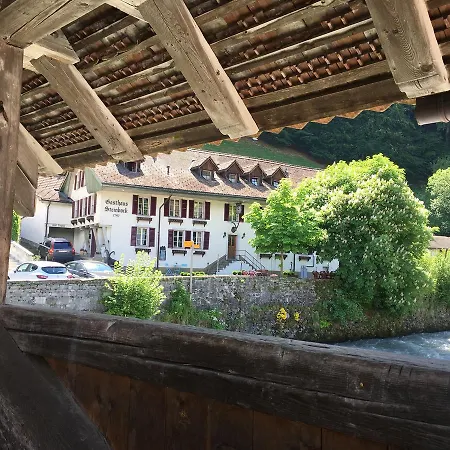 Historic Steinbock Hotel 2*