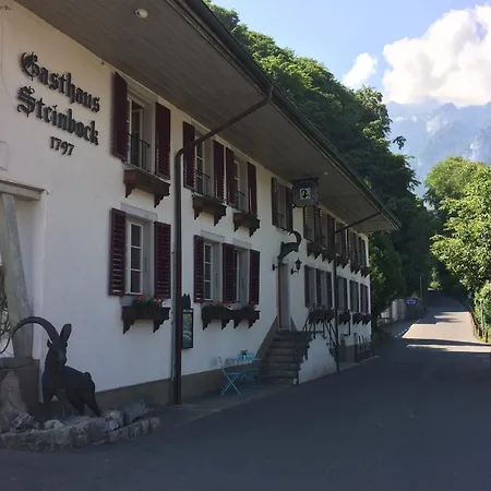 Hotel Historic Steinbock Wilderswil