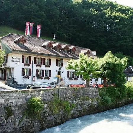 Historic Steinbock Hotel Wilderswil
