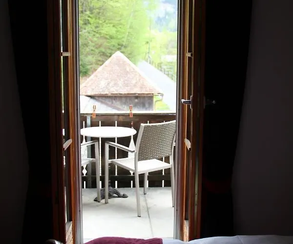 Hotel Historic Steinbock 2*