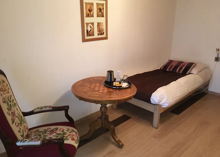 Historic Steinbock 2*