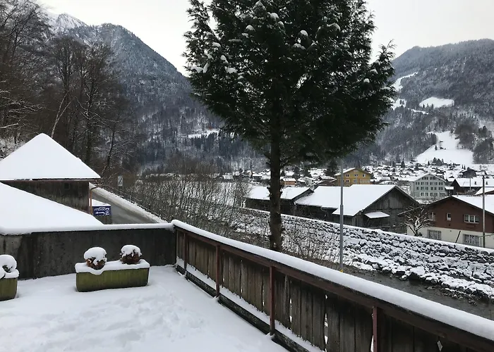 Historic Steinbock Hotel 2*