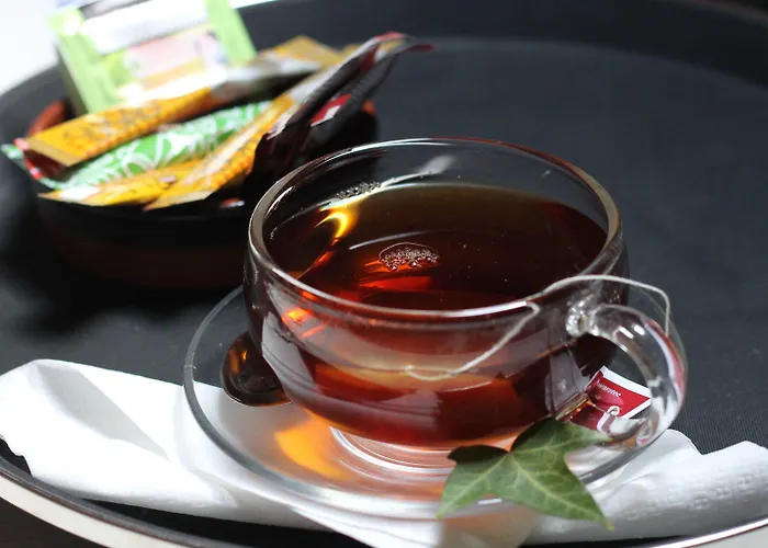 Historic Steinbock 2*