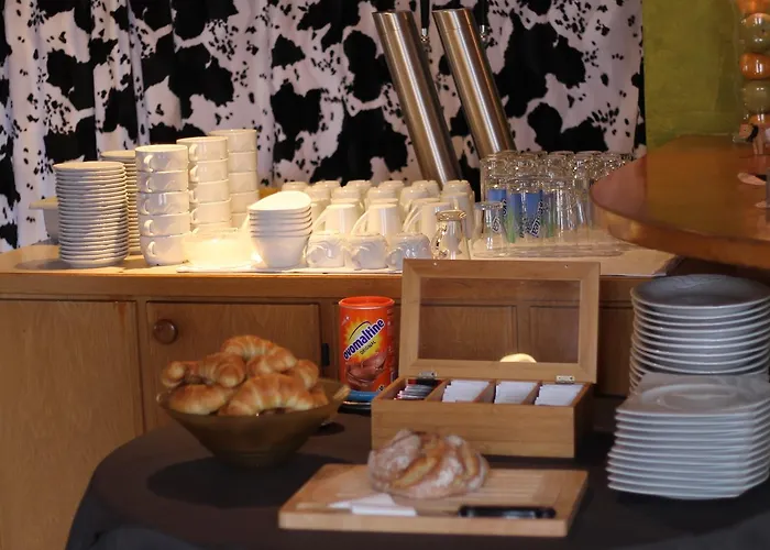 מלון Historic Steinbock