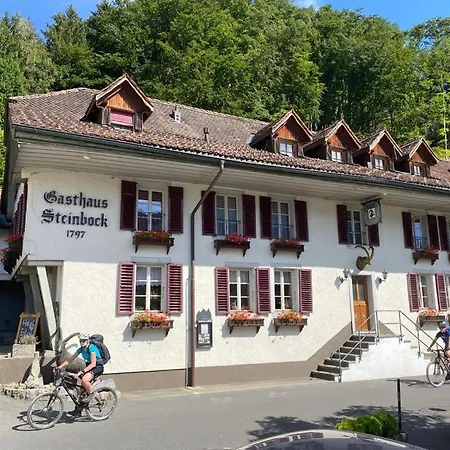 Historic Steinbock 2* Wilderswil