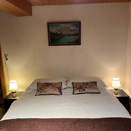 Hotel Historic Steinbock Wilderswil