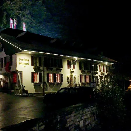 Historic Steinbock Hotel 2*