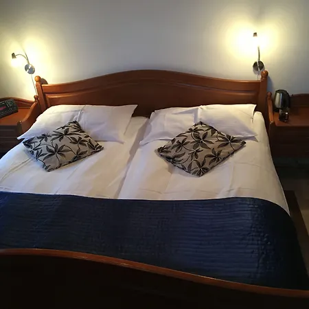 ホテル Historic Steinbock ヴィルダースヴィル