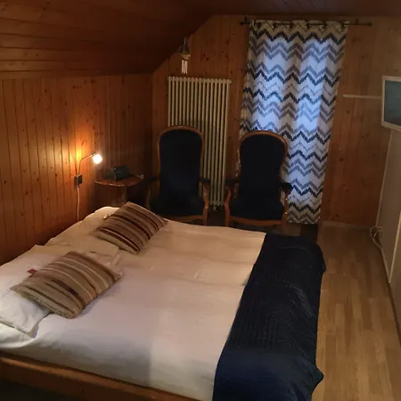 ホテル Historic Steinbock ヴィルダースヴィル