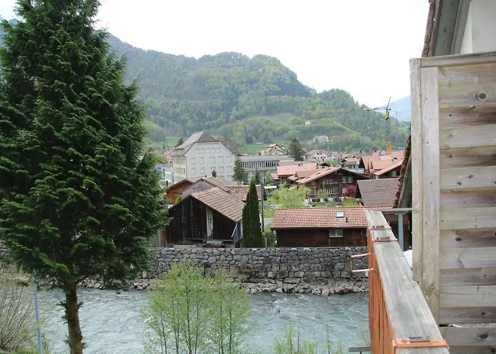 Historic Steinbock Hotel 2*