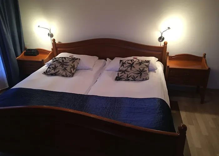 Historic Steinbock Hotel 2*