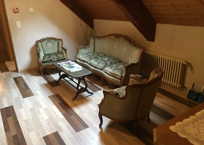 Historic Steinbock Hotel 2*