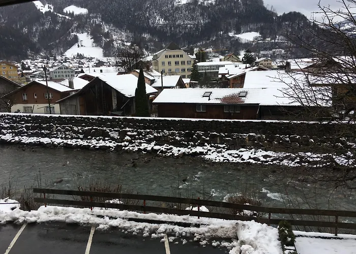 Historic Steinbock Hotel