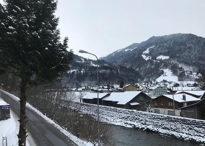 Historic Steinbock 2* Wilderswil