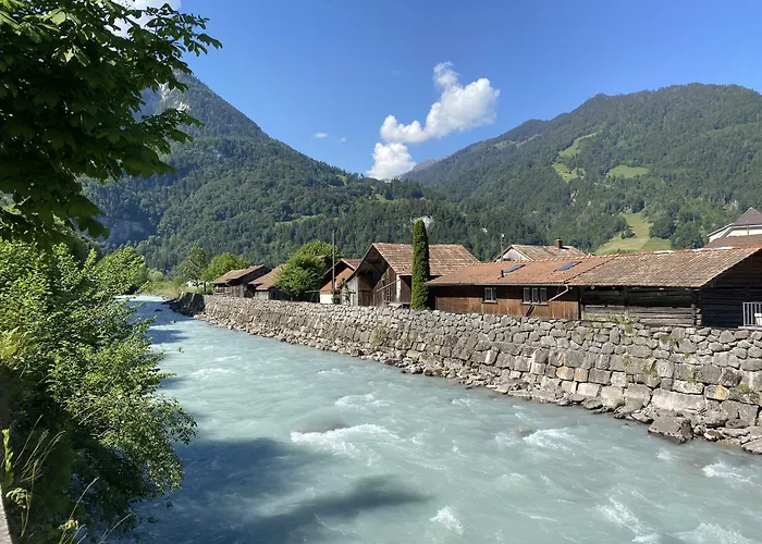 Hotel Historic Steinbock 2*