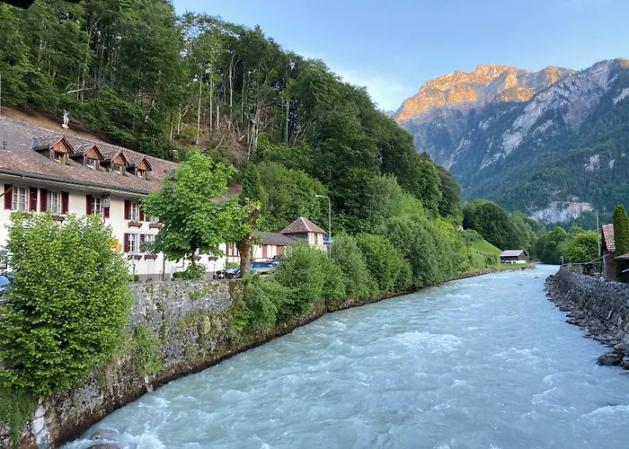 Hotel Historic Steinbock 2*