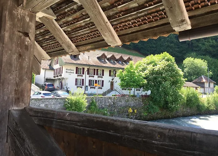 Historic Steinbock Hotel 2*