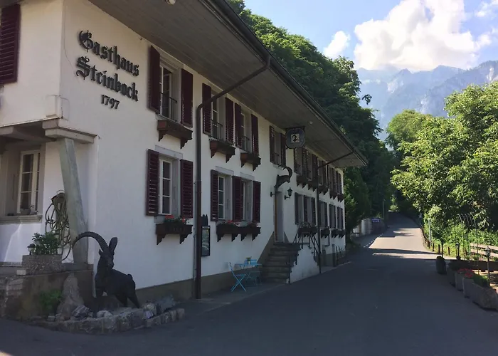 Hotel Historic Steinbock Wilderswil
