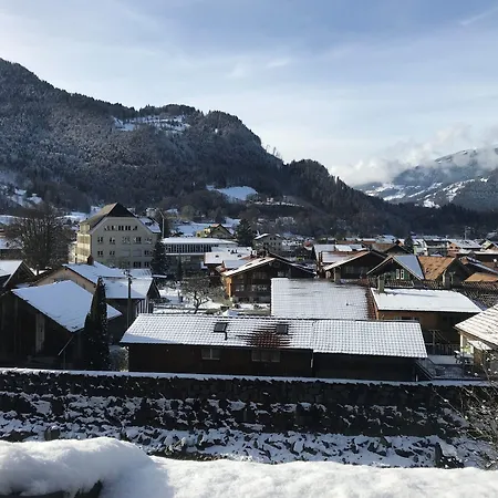 Historic Steinbock فندق