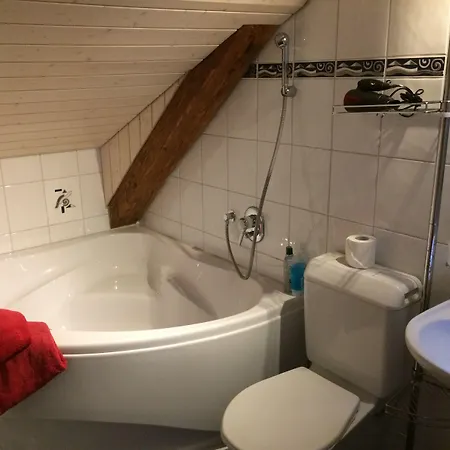 Historic Steinbock فندق