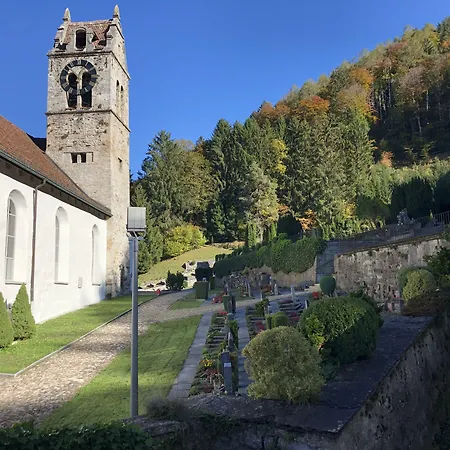Historic Steinbock فندق