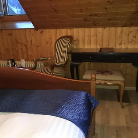 Historic Steinbock فندق