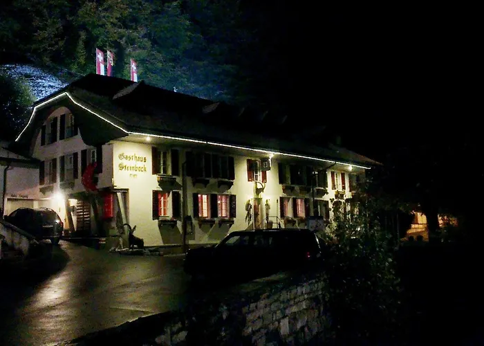 Historic Steinbock Hotel 2*