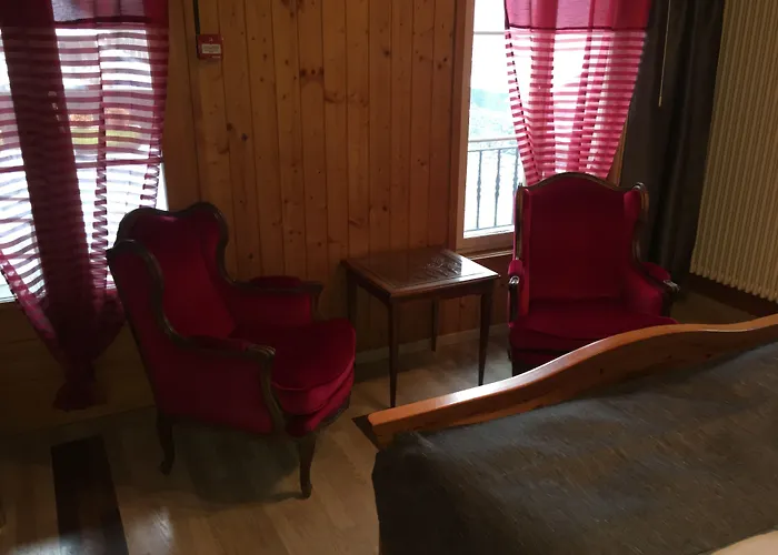 Historic Steinbock Hotel 2*