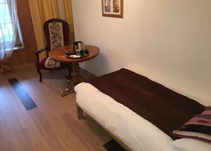 Historic Steinbock Hotel 2*