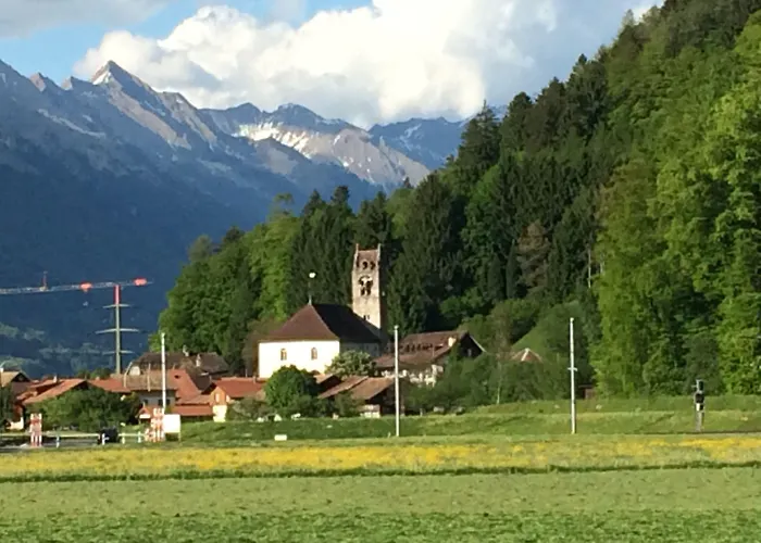 Historic Steinbock 2*