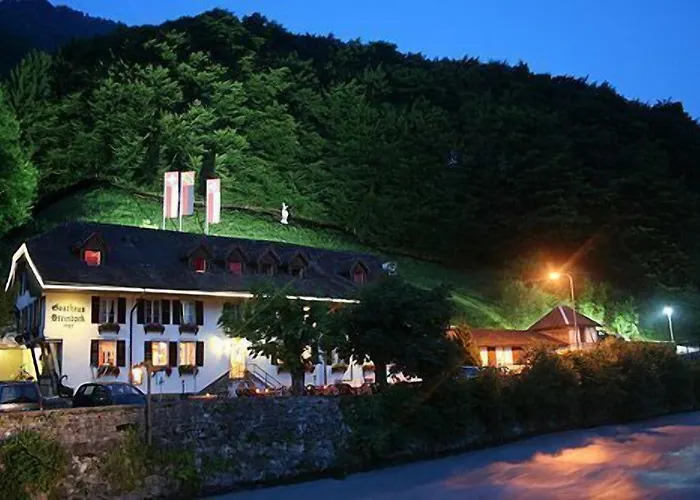 Hotel Historic Steinbock 2*