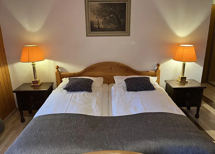 Historic Steinbock Hotel