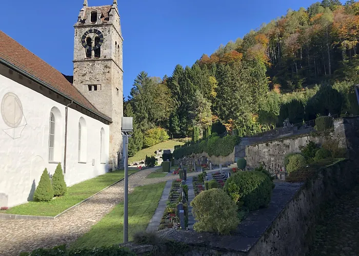 Historic Steinbock Hotel
