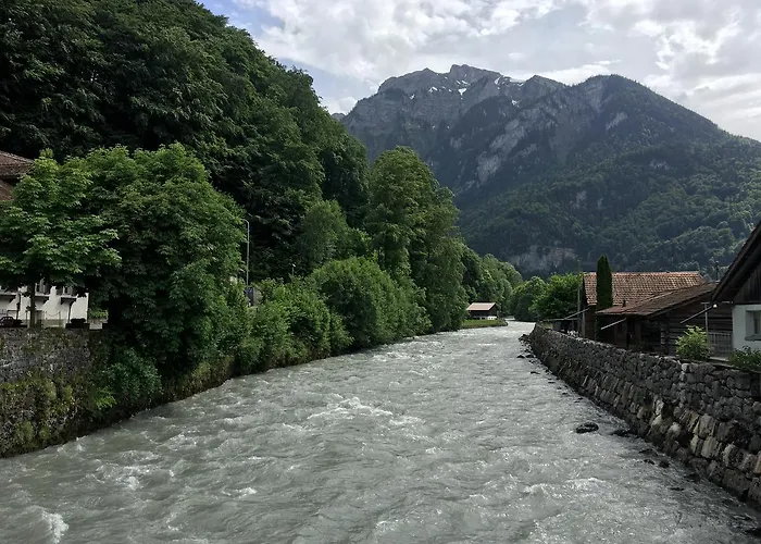 Historic Steinbock Hotel Wilderswil