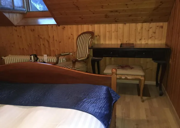 Historic Steinbock Hotel