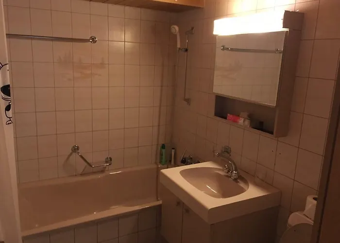 Hotel Historic Steinbock 2*